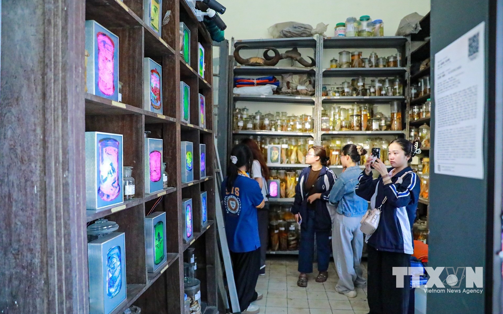 Triển lãm kết hợp di sản, nghệ thuật với nhiều công nghệ hiện đại thu hút người dân và du khách. (Ảnh: Khánh Hoà/ TTXVN)